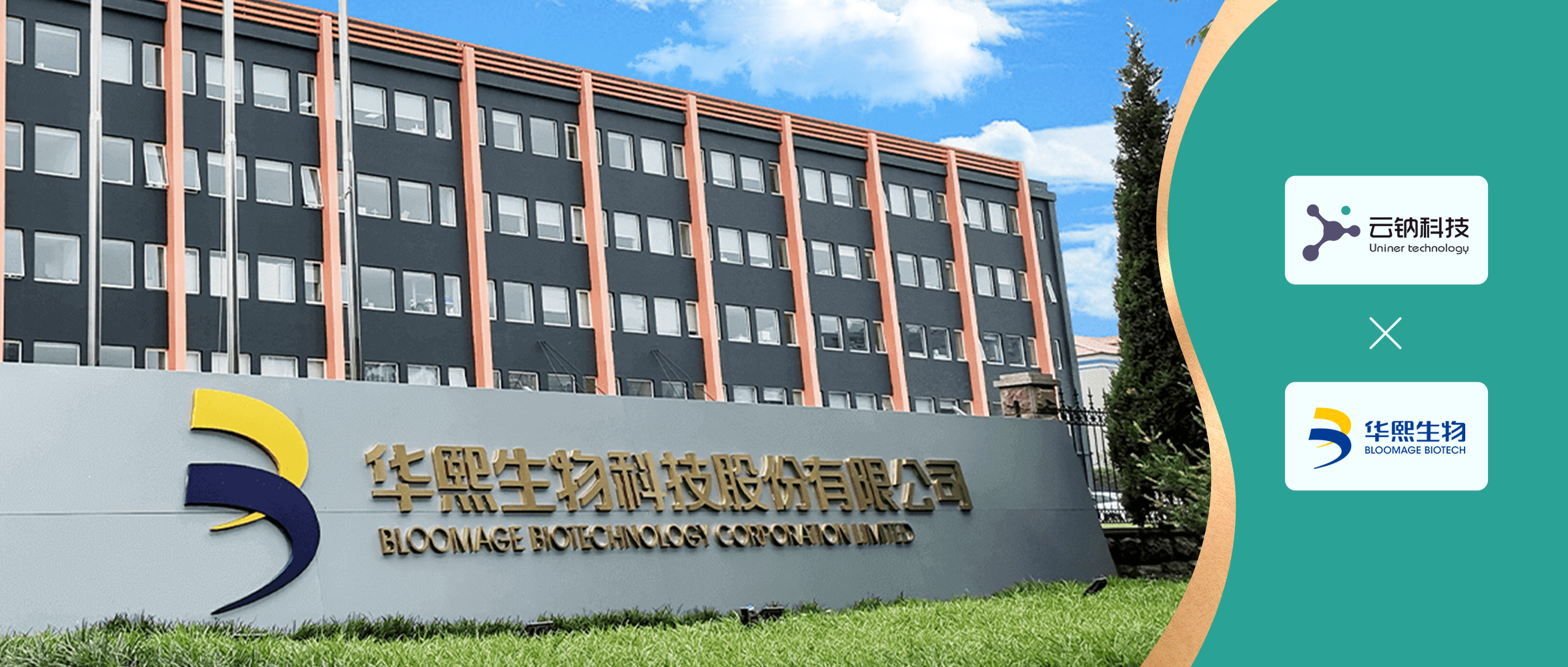 “玻尿酸第一股”华熙生物牵手云钠科技，重塑增长新动力